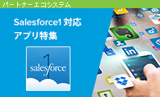 セールスフォース・ドットコム アプリケーション担当責任者に聞く【後編】 マイクロバーティカル用アプリケーションという新市場開拓が始まる