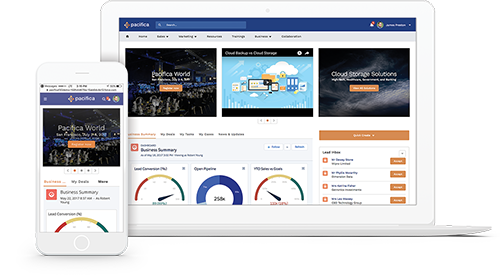 introducing sales cloud prm